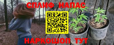 гидропоника Кунгур
