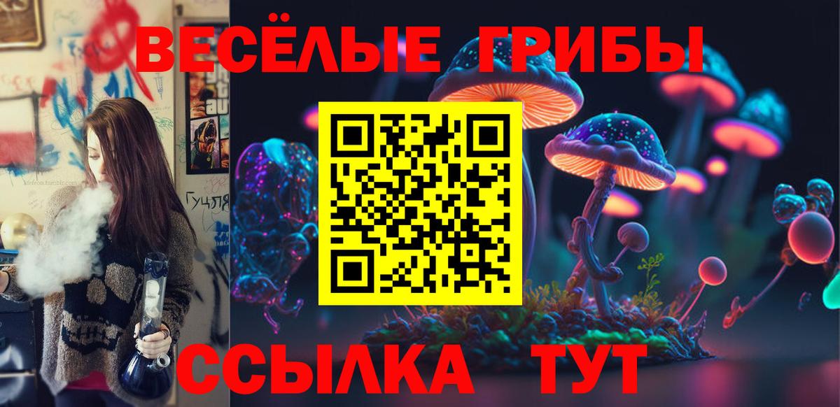 где продают наркотики  Галлюциногенные грибы MAGIC MUSHROOMS  Вход с VPN  Дубна 